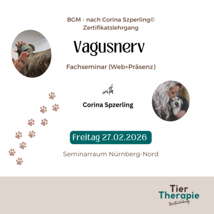 BGM nach Corina Szperling© - Fachseminar Vagusnerv