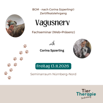BGM nach Corina Szperling© - Fachseminar Vagusnerv