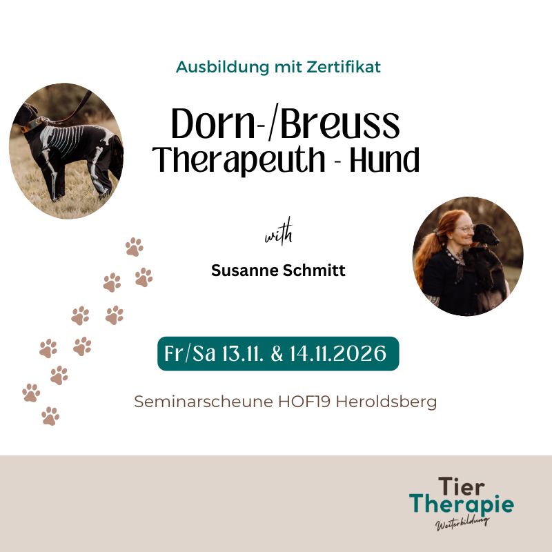Ausbildung: Dorntherapeut Hund - Susanne Schmitt