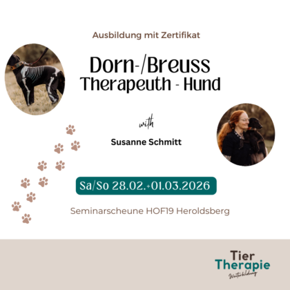 Ausbildung: Dorntherapeut Hund - Susanne Schmitt