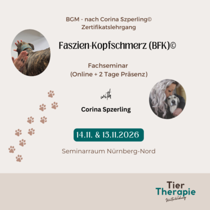 BGM – Faszien Kopfschmerz (BFK) Corina Szperling© - Web+Präsenz